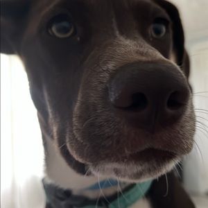 Meet your Posher, Cash